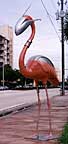 Techno Flamingo 2