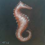 Sea_Horse_III